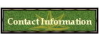 Contact Information