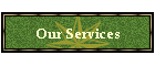 Our Services