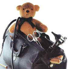 teddy - 1.jpg (7399 bytes)
